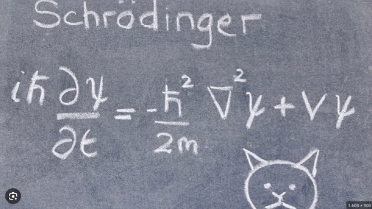Schrödingers Katze wundert sich über die Wellengleichung