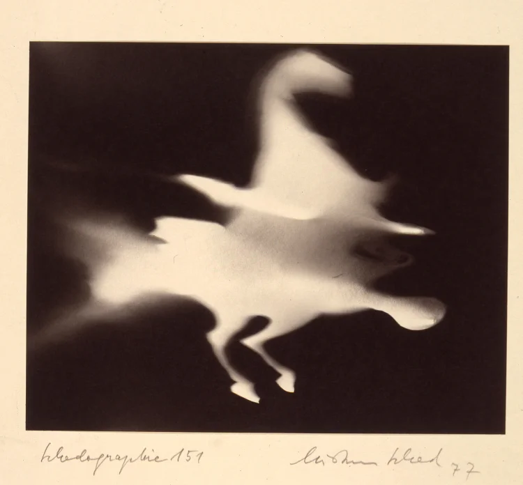 Schadographie Nr. 151, 1977 | © Foto: Christian-Schad-Stiftung Aschaffenburg